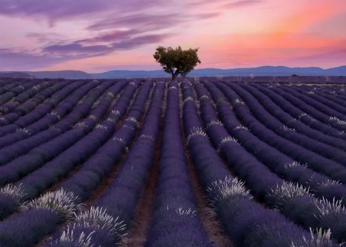 Du Chêne Villeneuve Les Avignon Confort Wifi,clim * Les Angles (Gard)