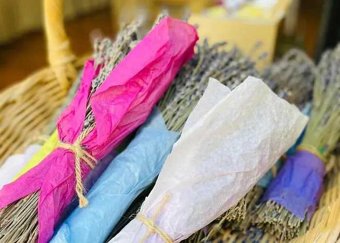 Du Chêne Villeneuve Les Avignon Confort Wifi,clim